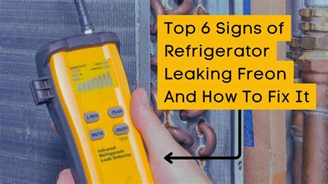 signs of freon leak in refrigerator|Refrigerator Freon Leak: Detect & Fix In Under 20 Minutes